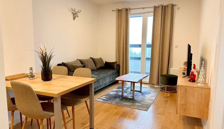 apartman a29 snjezna dolina novo