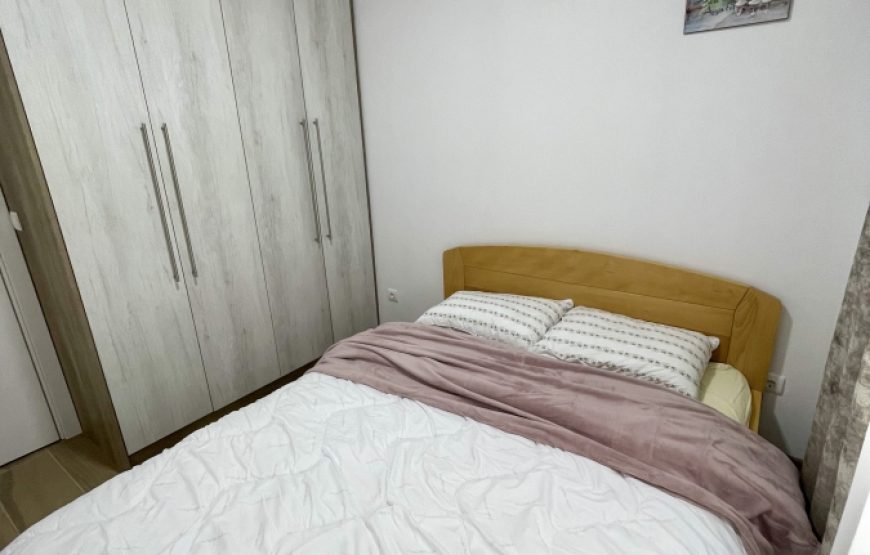 Apartman Montana Ravna Planina