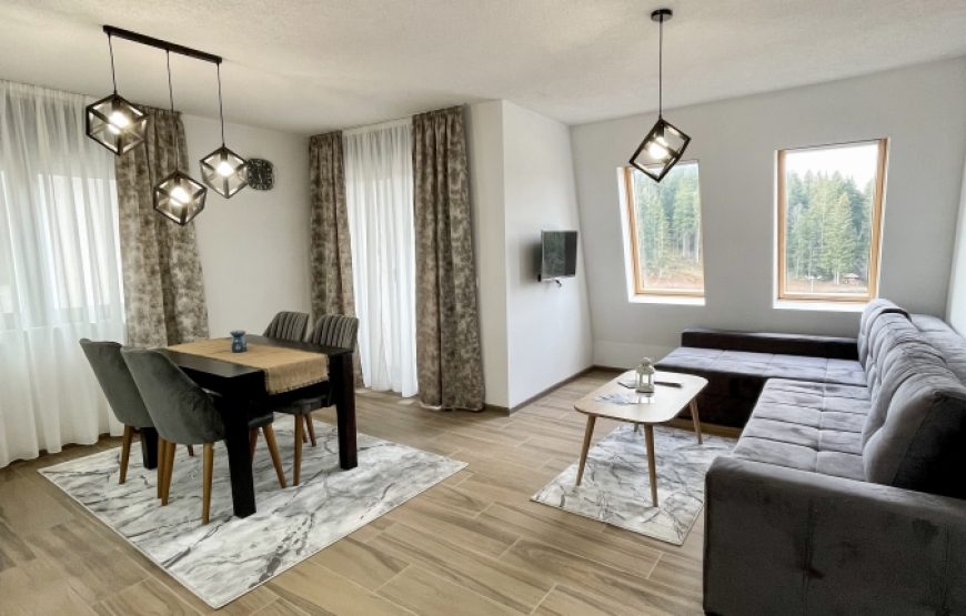 Apartman Montana Ravna Planina