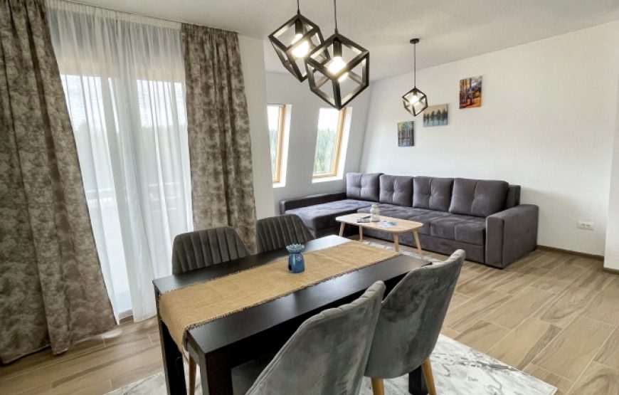 Apartman Montana Ravna Planina