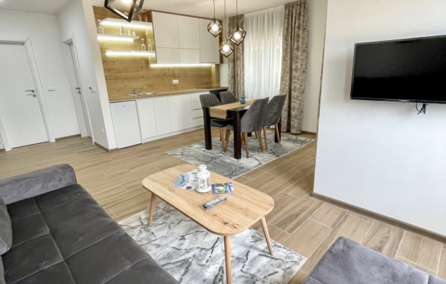 Apartman Montana Ravna Planina