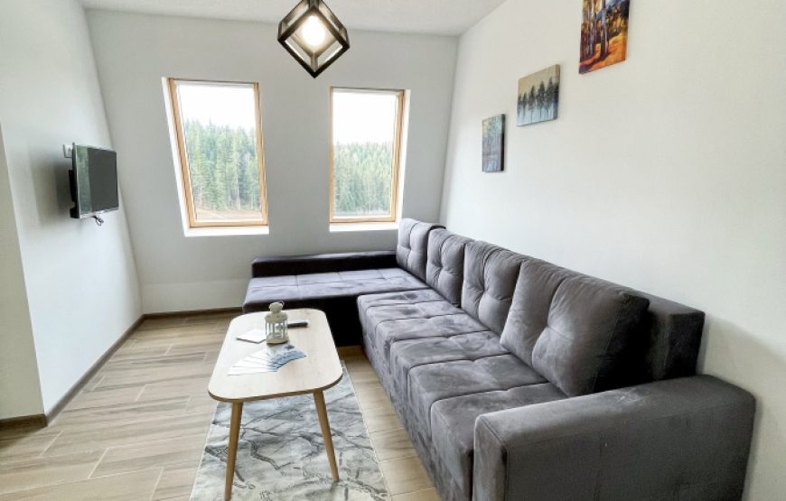 Apartman Montana Ravna Planina