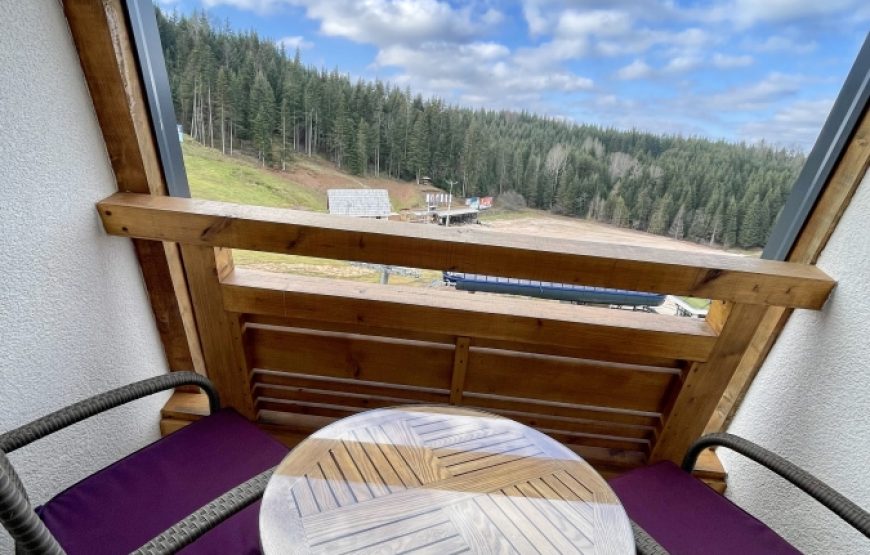 Apartman Ski Lux Ravna Planina